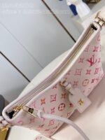 CarryAll PM - 图片 8