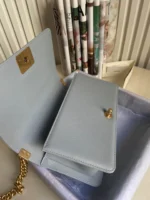 Chanel Calfskin Size:25x15x9cm - 图片 2