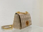 Caro chain handbag - 图片 2