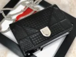 Diorama Woc Chain Bag Size: 19cm - 图片 4