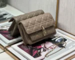 Lady Collection Chain Handbag Size: 19.5cm - 图片 2