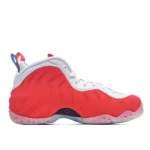 Nike Air Foamposite one - 图片 5