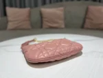 DIOR CARO Tulip Handbag Size: 25*16*2.5cm - 图片 5