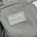 DIOR CARO Tulip Handbag Size: 25*16*2.5cm - 图片 4