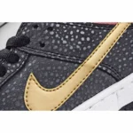 Brooklyn Projects x Nike Dunk SB Premium QS walk of fameLow  板鞋 - 图片 6