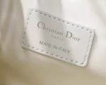 DIORTRAVEL NOMAD Clutch Bag Size: 22 x 13 x 9.5 cm - 图片 6