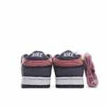 Brooklyn Projects x Nike Dunk SB Premium QS walk of fameLow  板鞋 - 图片 7