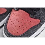 Brooklyn Projects x Nike Dunk SB Premium QS walk of fameLow  板鞋 - 图片 8