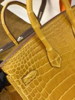 Crocodile Leather Bag Size: 25cm - 图片 7
