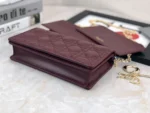 CARO Series Size：19*11*6.5cm - 图片 7