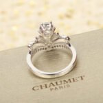 Joséphine Amour d'Aigrette - 图片 3