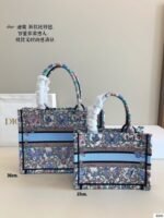 Medium AND Small Dior Book Tote - 图片 9