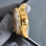 LONGINES MASTER COLLECTION - 图片 12