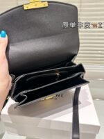 CLASSIQUE TRIOMPHE BAG IN shiny calfskin - 图片 15