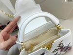 LV Capucines handbag white - 图片 8