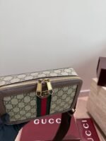 Gucci Ophidia camera bag - 图片 8